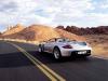 porsche_carrera gt_09